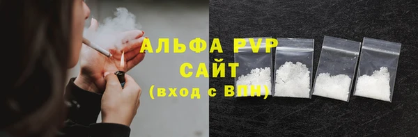 spice Белая Холуница