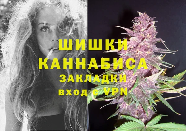 spice Горняк