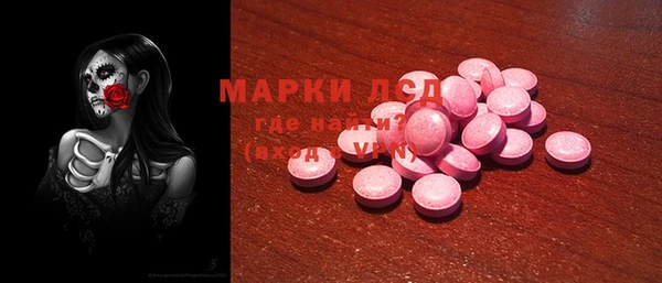 spice Горняк