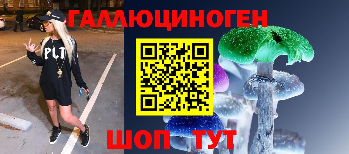 Губкин  Псилоцибиновые грибы Cubensis  Вход с VPN 