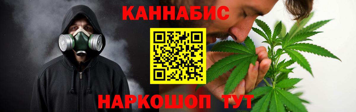 Бошки Шишки планчик  Бошки Шишки тримм  Вход с VPN  Шишки марихуана сатива  Губкин 